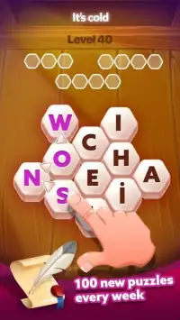 Hidden Wordz - Word Game Screen Shot 4