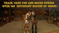 Horse Academy - Multiplayer Horse Racing Game! Screen Shot 1