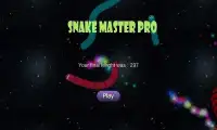 Snake Master Pro Screen Shot 1