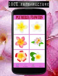 Plumeria Flowers Color By Number-Pixel Art Screen Shot 4
