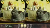 틀린그림찾기 : 고양이 퍼즐2 Screen Shot 4