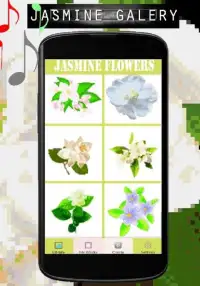 Jasmine Flowers Color By Number-Pixel Art Screen Shot 2