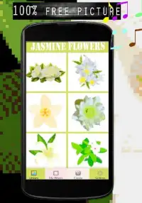 Jasmine Flowers Color By Number-Pixel Art Screen Shot 4