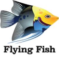 Flying Fish 2019 game