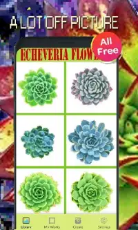 Echeveria Flowers Color By Number-Pixel Art Screen Shot 4