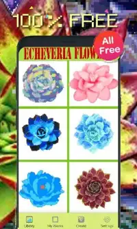Echeveria Flowers Color By Number-Pixel Art Screen Shot 2