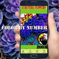 Echeveria Flowers Color By Number-Pixel Art Screen Shot 5