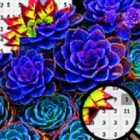 Echeveria Flowers Color By Number-Pixel Art
