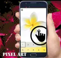 Plumeria Flowers Color By Number-Pixel Art Screen Shot 3