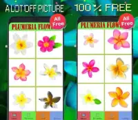 Plumeria Flowers Color By Number-Pixel Art Screen Shot 0