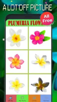 Plumeria Flowers Color By Number-Pixel Art Screen Shot 2