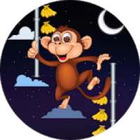 Monkey Slide