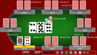 Texas Hold'em Poker - Offline Card Games Screen Shot 1