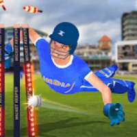 Wicket Keeper 2019: Cricket Cup