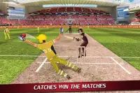 Wicket Keeper 2019: Cricket Cup Screen Shot 7