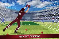 Wicket Keeper 2019: Cricket Cup Screen Shot 1