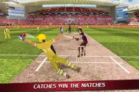 Wicket Keeper 2019: Cricket Cup Screen Shot 3