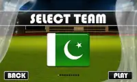 Cricket Stars Bowled Screen Shot 0