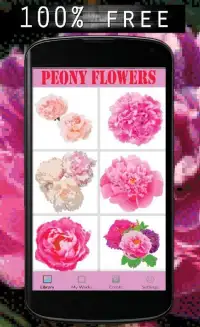 Peony Flowers Color By Number-Pixel Art Screen Shot 4