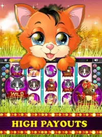 Kitty Kat slots: Free Screen Shot 0