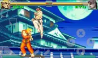king fu fighter & Kung Fu Game Screen Shot 5