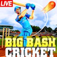 Big Bash Cricket Game ; Real Cricket