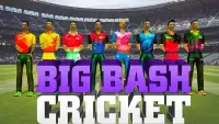 Big Bash Cricket Game ; Real Cricket Screen Shot 1
