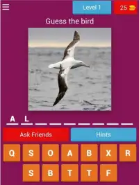 Birds Quiz - Learn All Birds! Screen Shot 7
