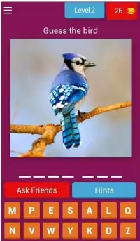 Birds Quiz - Learn All Birds! Screen Shot 9