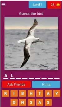 Birds Quiz - Learn All Birds! Screen Shot 11
