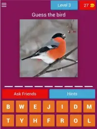 Birds Quiz - Learn All Birds! Screen Shot 4