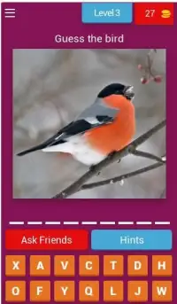 Birds Quiz - Learn All Birds! Screen Shot 8