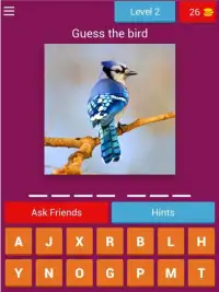 Birds Quiz - Learn All Birds! Screen Shot 5