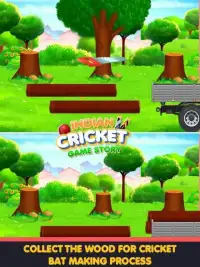 Indian Cricket Game Story Screen Shot 2