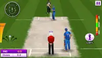 T20 Cricket Games 2019 3D Screen Shot 7