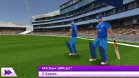 T20 Cricket Games 2019 3D Screen Shot 4