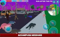 Raccoon Adventure: City Simulator 3D Screen Shot 6
