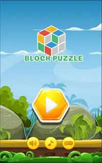 Block Puzzle! BilGames Screen Shot 4