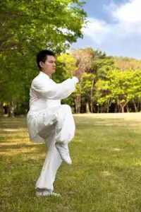 Learn Kung Fu Training 2019 Screen Shot 6