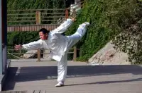 Learn Kung Fu Training 2019 Screen Shot 2