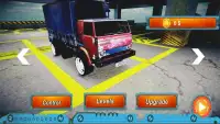 Truck Parking Simulator 2020 Screen Shot 2