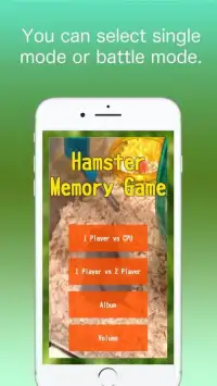 Hamster Memory Game Screen Shot 1