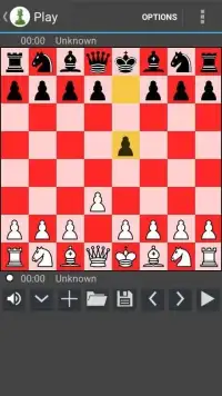 Chess 08 Screen Shot 2