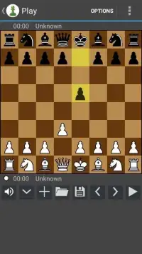 Chess 08 Screen Shot 3