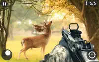 Real Sniper Shooting Animal Hunting Screen Shot 0
