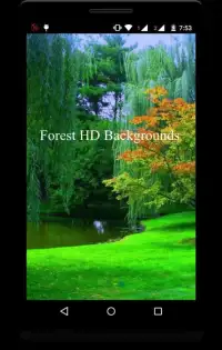 Forest HD Backgrounds Screen Shot 9