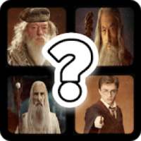 Guess the Wizard Best Quiz