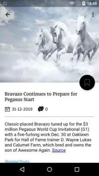 Horse Racing Latest News Screen Shot 6