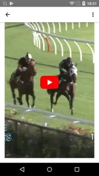 Horse Racing Latest News Screen Shot 1