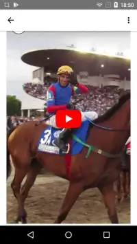 Horse Racing Latest News Screen Shot 3